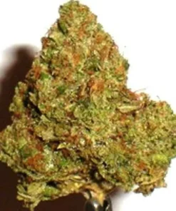 420 kush weed strain