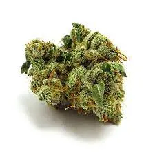 7 way marijuana strain online