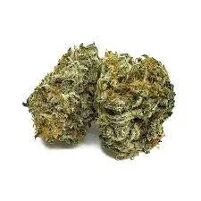 Afghan Kush Strain