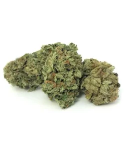 Afghani Bullrider Cannabis Strain
