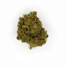 Afghani Landrace Strain