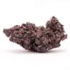 African buzz Cannabis strain