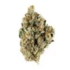 Berry Haze Weed Strain