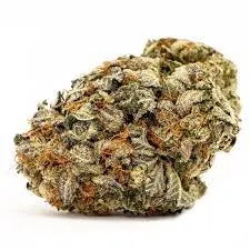 Blood Diamond OG Cannabis Strain