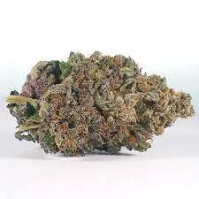 Blue God Cannabis Strain