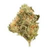 Buy Southern Belle Strain Online