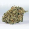 BF Blue Cheese Weed Strain