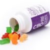CBD Living Gummies 300mg
