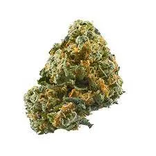 Cheese Marijuana Strain