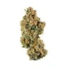 Chocolate Chunk Strain