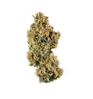 Chocolate Chunk Strain