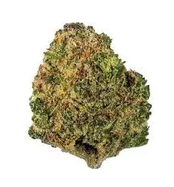 Chocolate OG Strain