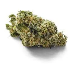 Cookie Monster Strain