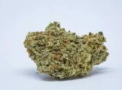 Durban Punch Weed Strain