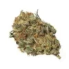 Buy Frida Strain Online