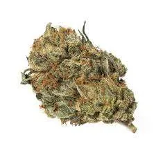 Buy Frida Strain Online