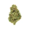 Golden Tiger Cannabis Strain