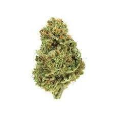 Golden Tiger Cannabis Strain