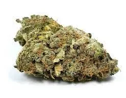 Green Crush Cannabis Strain