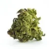 Green Dragon Strain