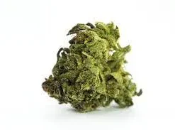 Green Dragon Strain