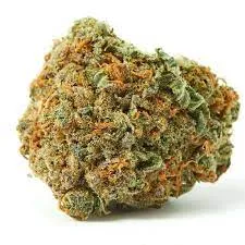 HOG Organic Strain