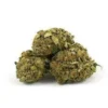 Hindu Kush Strain