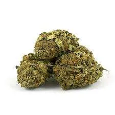 Hindu Kush Strain