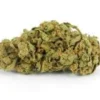 The Hog Strain