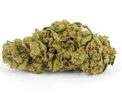 The Hog Strain