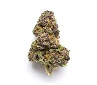 Honey Boo Boo Strain
