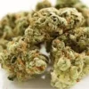 King's Bread Weed Strain Online