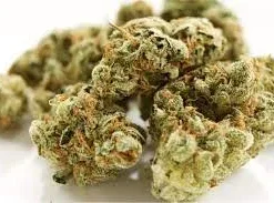 King's Bread Weed Strain Online
