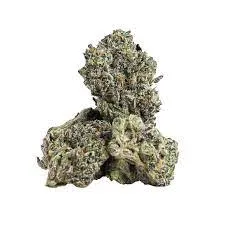 Mag Landrace Strain