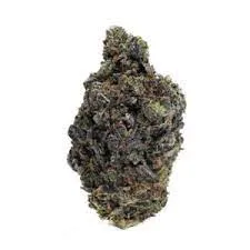Magnum Pl Weed Strain
