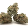 buy sativa cannabis strains
