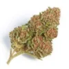 Northern Lights Strain