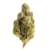 OG Kush Strain