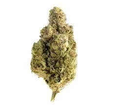 OG Kush Strain