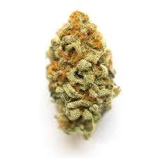 Panama Red Weed Strain Online