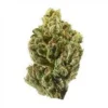 Peppermint Cookies Strain