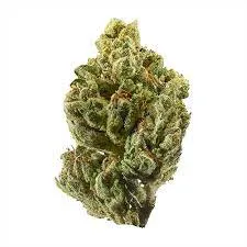 Peppermint Cookies Strain