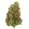 Pineapple Thai Weed Strain