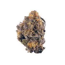 Purple Kush Strain