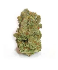 Purple Star Strain