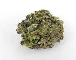 Romulan Marijuana Strain