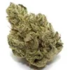 Shiva Skunk Strain