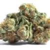 South African Kwazulu Marijuana Strain
