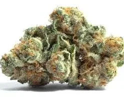 South African Kwazulu Marijuana Strain