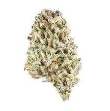 South American Cannabis Strain